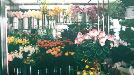 フラワーショップきむら